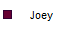 Joey